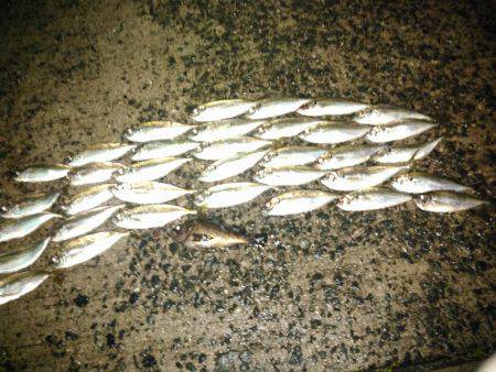 たのしかった！の巻